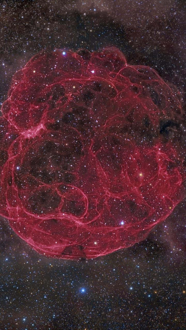 "The spectacular beauty of a supernova exploding in space"