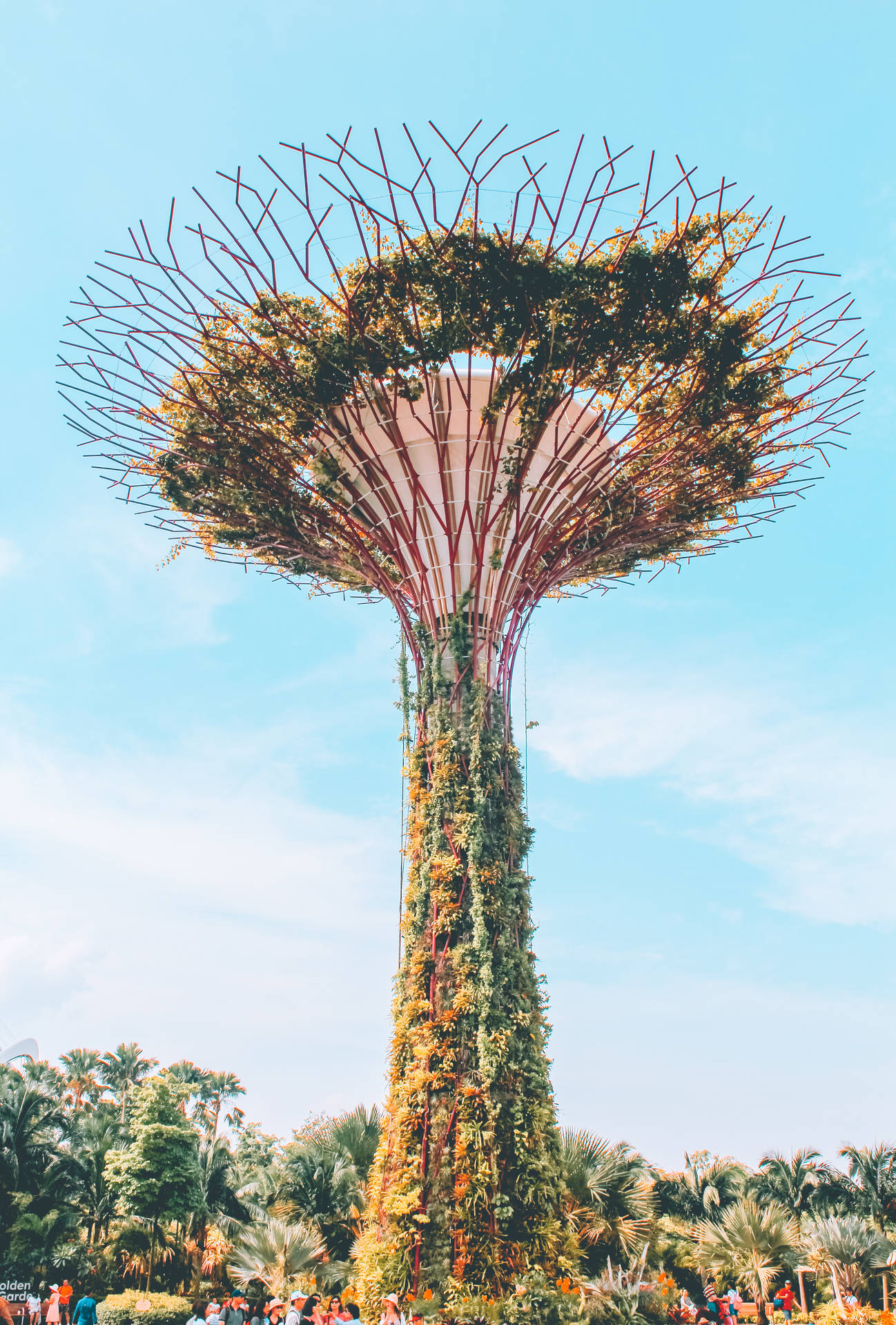 Supertree In Singapore