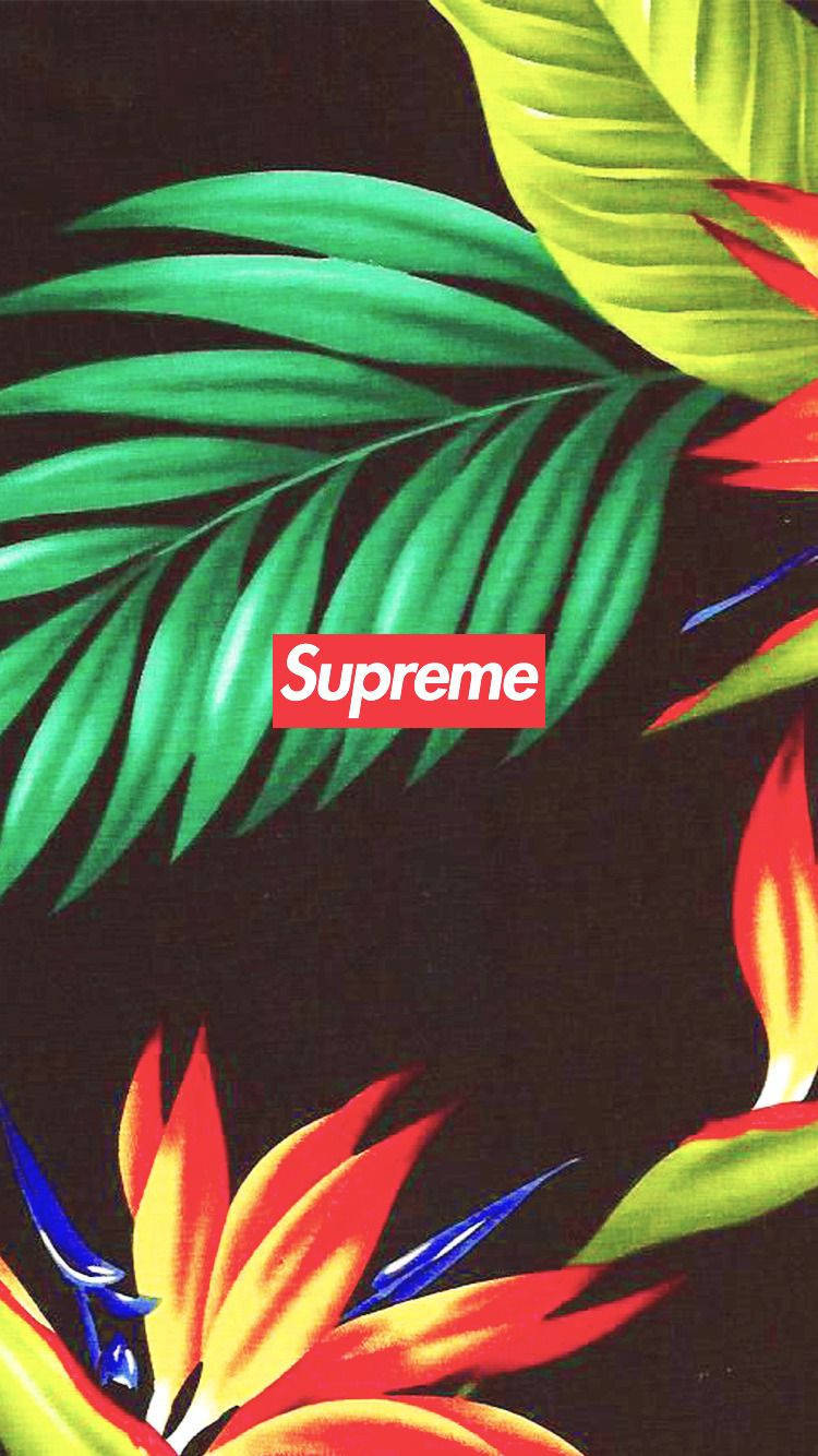 Caption: Blooming Supreme Aesthetic Wallpaper