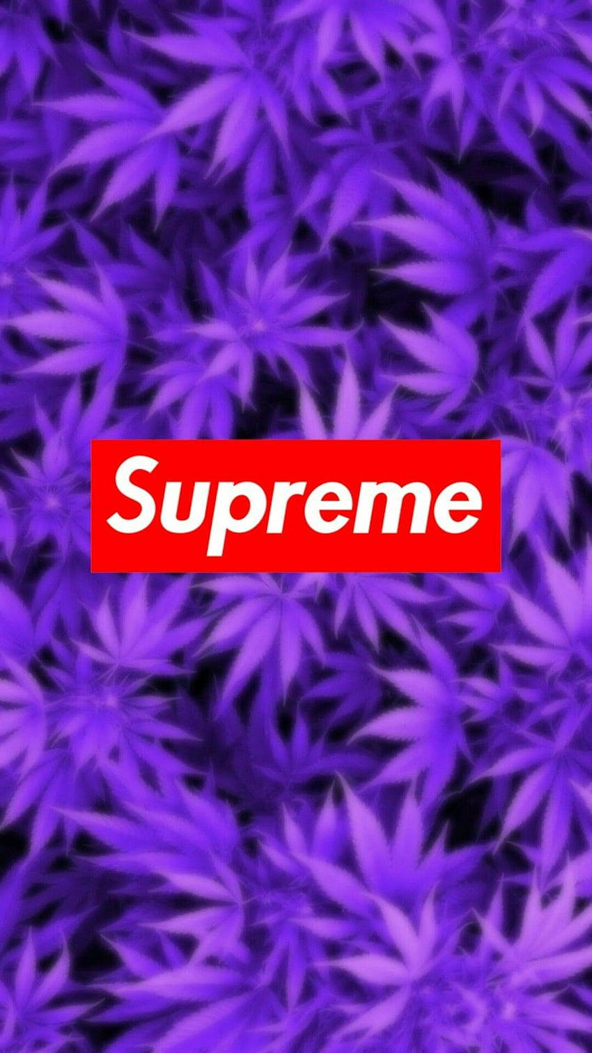 Supreme Aesthetic Red On Purple Wallpaper