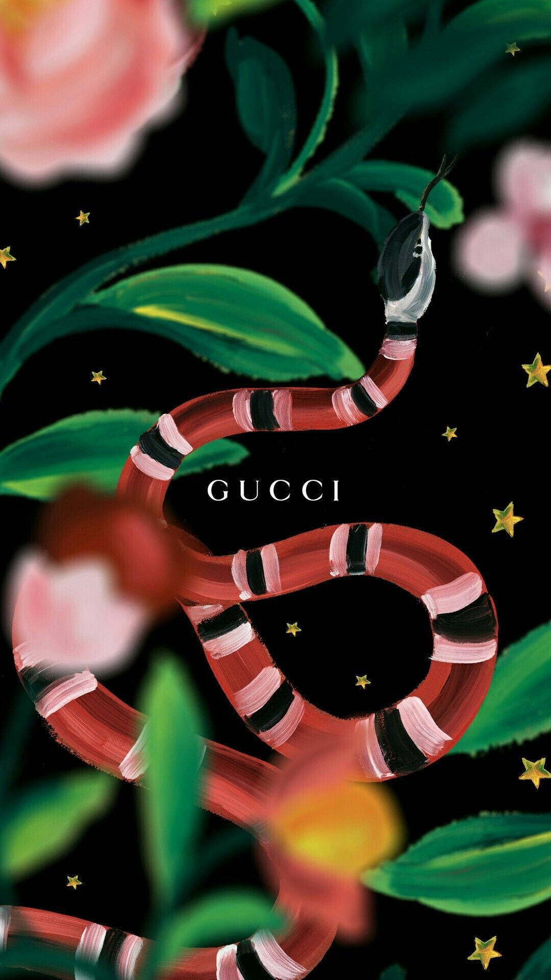 Gucci Wallpaper  NawPic