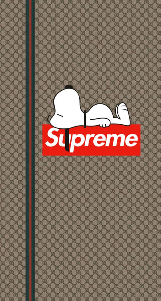 Download Supreme and Gucci collaborations​ Wallpaper