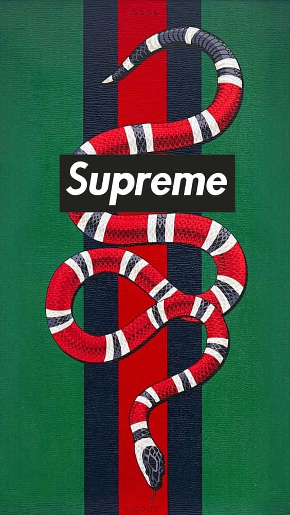 Download Supreme Snake - T-shirt Wallpaper