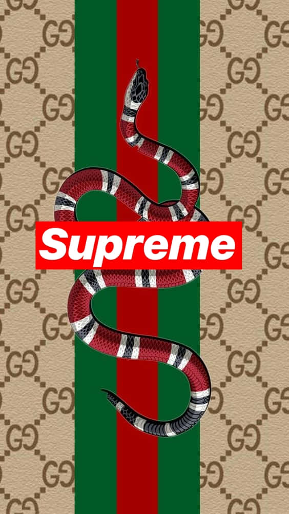 "Stand out from the Crowd with Supreme Gucci" Wallpaper