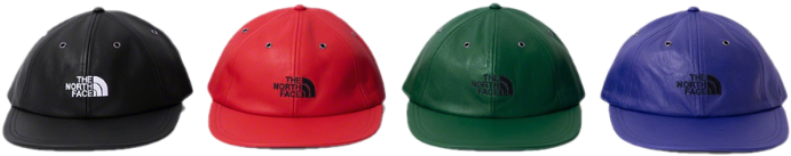 Supreme North Face Logo Hats PNG