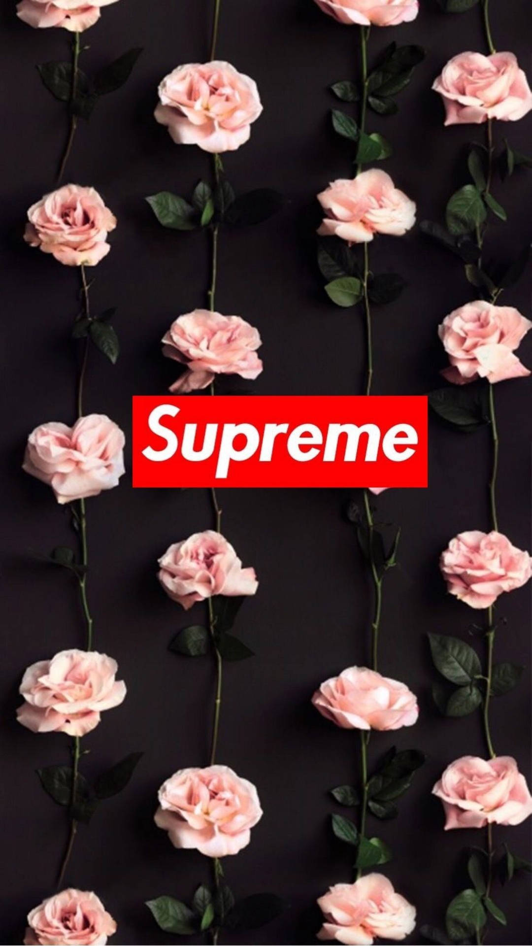 Supreme Pink Flowers Cute Iphone Background