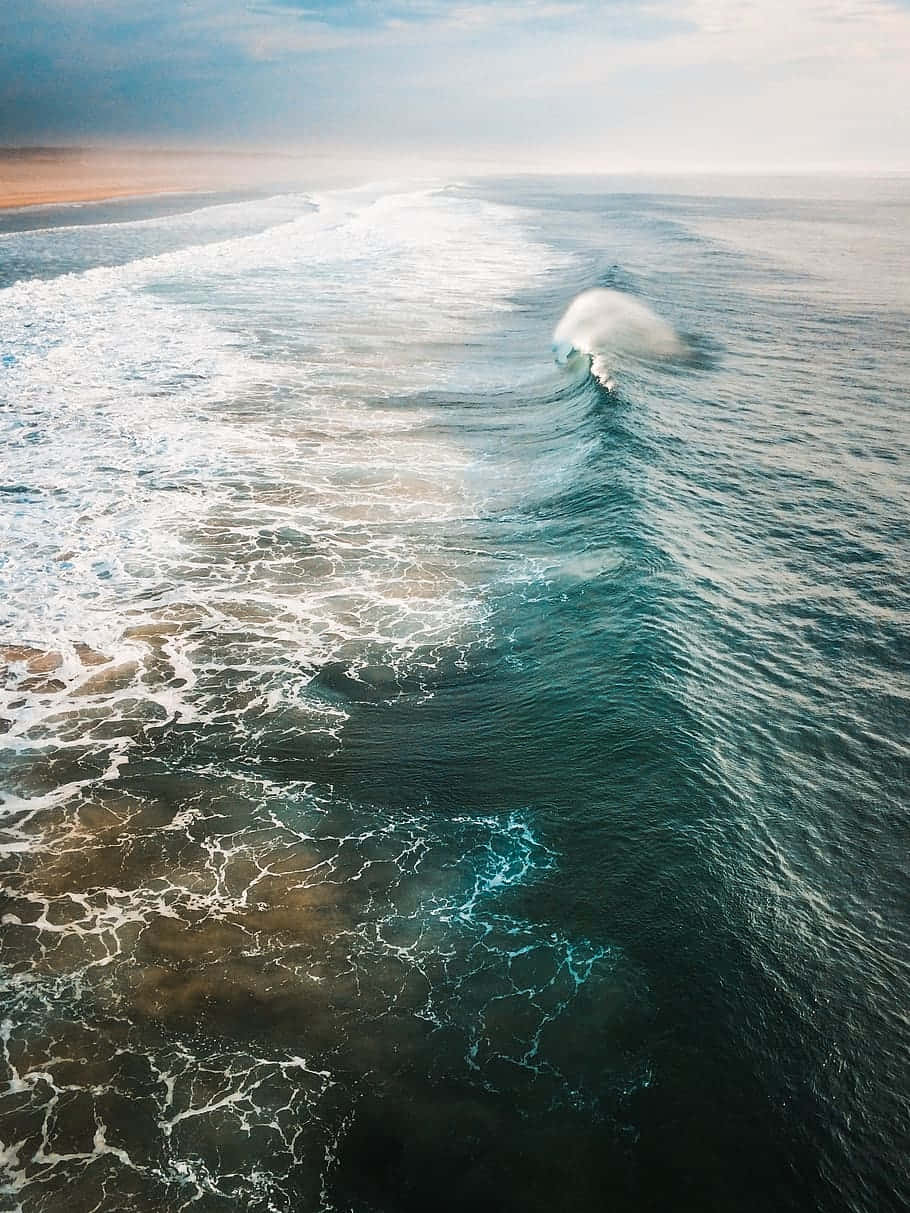 Enjoy the sun and sea while surfing on an iphone Wallpaper