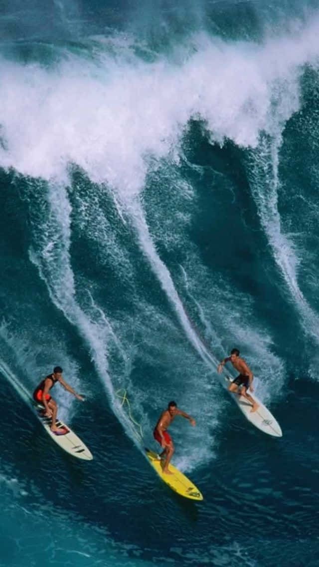 Catch the wave! Wallpaper