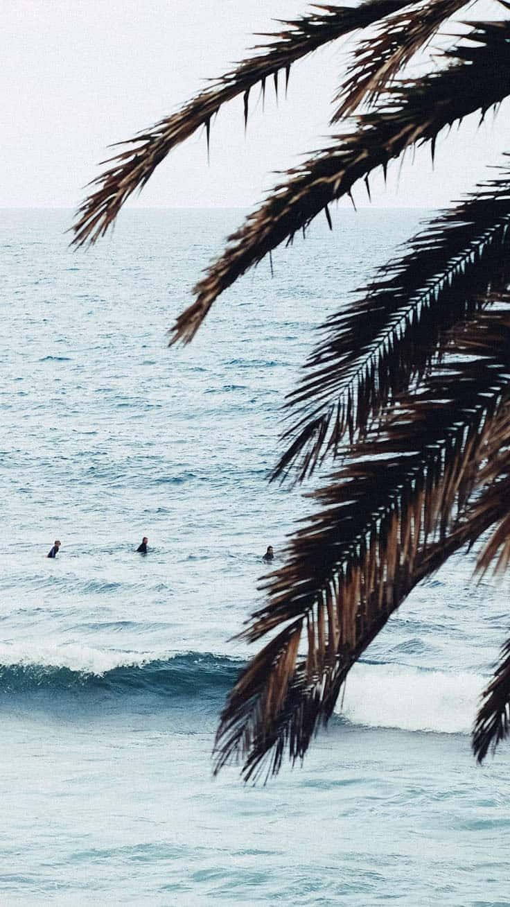En gruppe surfer er i havet under solen Wallpaper