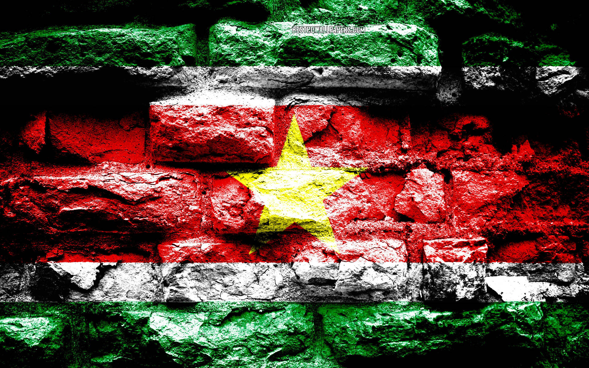 Suriname Flag Brick Wall