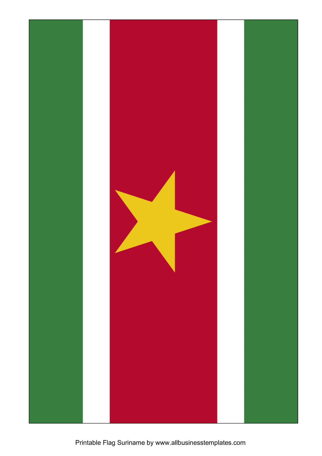 Suriname National Flag PNG