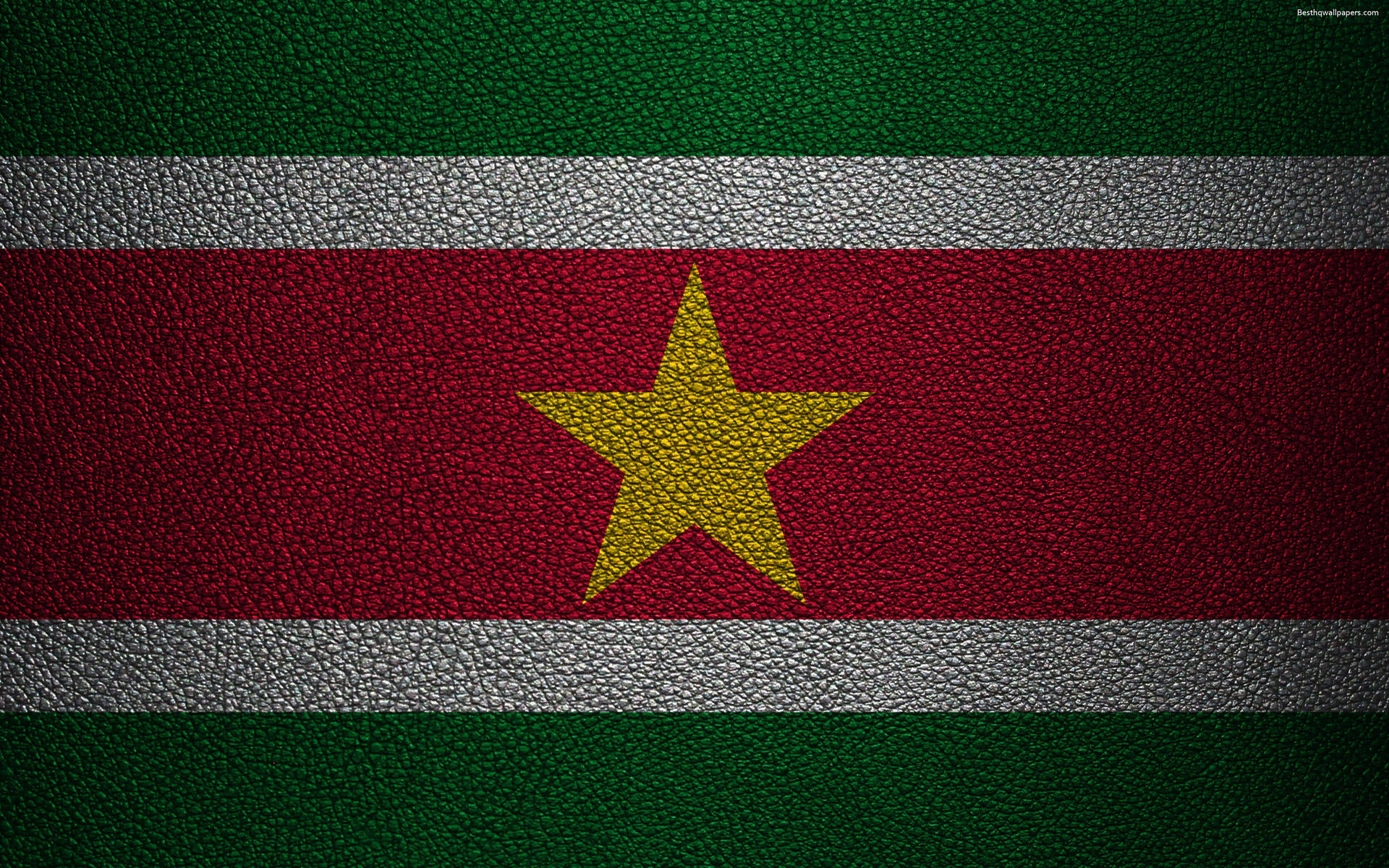 Suriname Official Flag