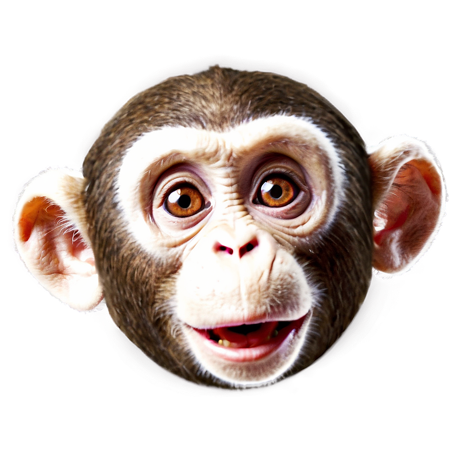 Surprised Monkey Face Expression Png Ayi PNG