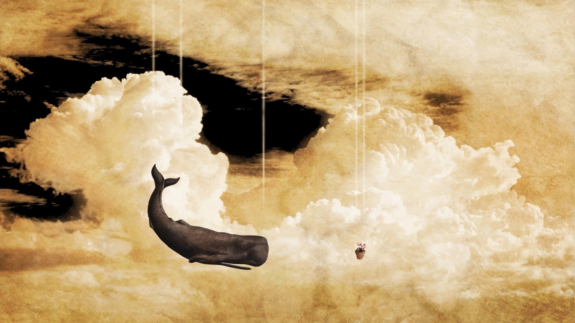 Surreal Art Flying Whale Through The Clouds Wallpaper