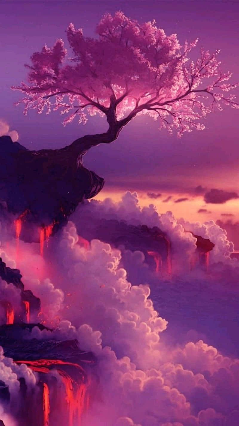 Surreal_ Cherry_ Blossom_at_ Sunset Wallpaper