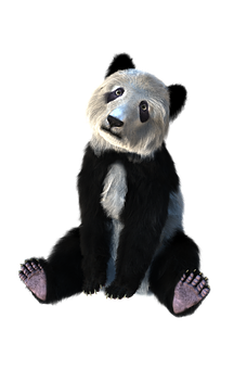 Surreal Sitting Panda PNG