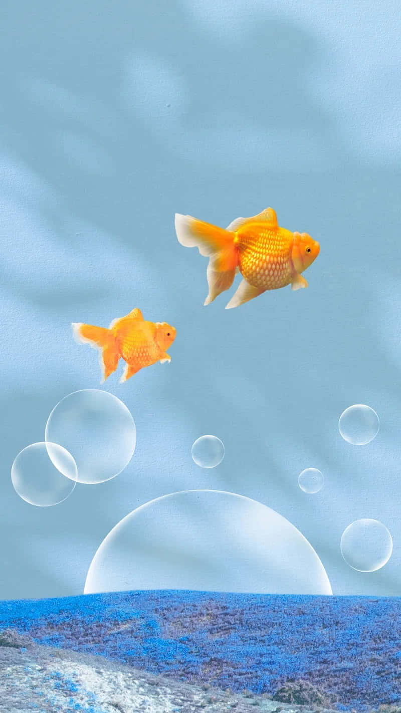 Surreal_ Sky_ Swimming_ Goldfish Wallpaper