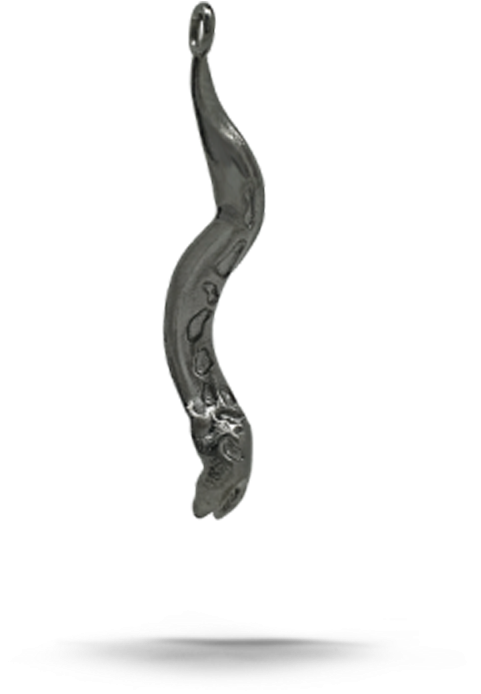 Suspended Eel Reflection PNG