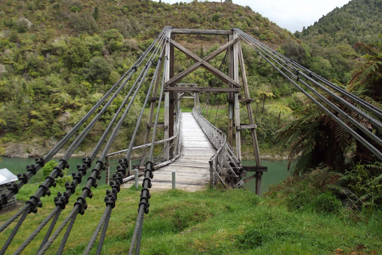 Suspension Bridge Over River New Zealand Wallpaper