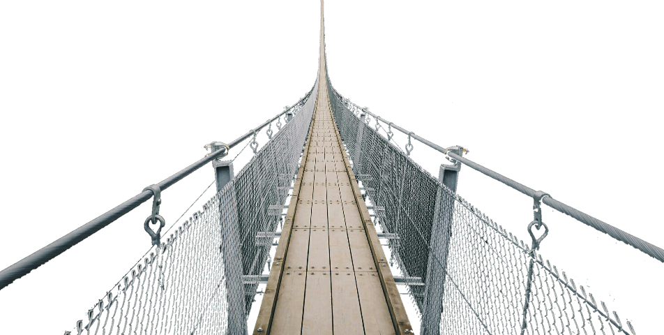Suspension Bridge Perspective View.jpg PNG