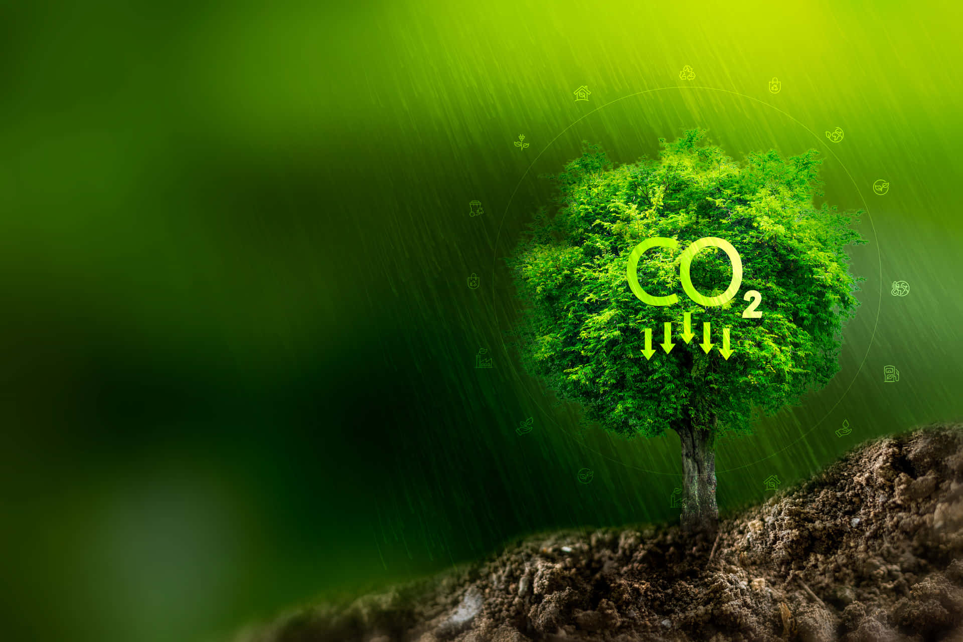 Sustainability CO2 Tree Wallpaper