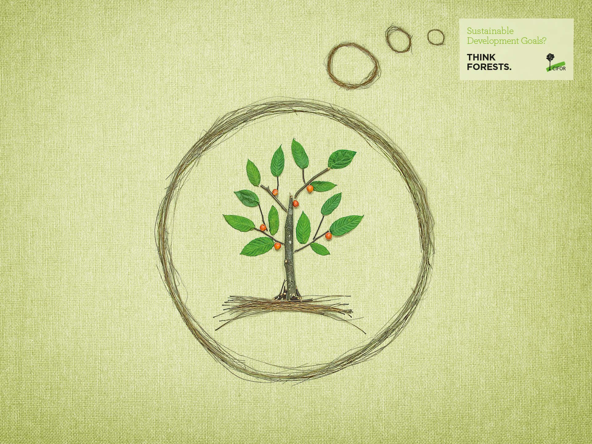 Sustainability Tree Drawing Wallpaper