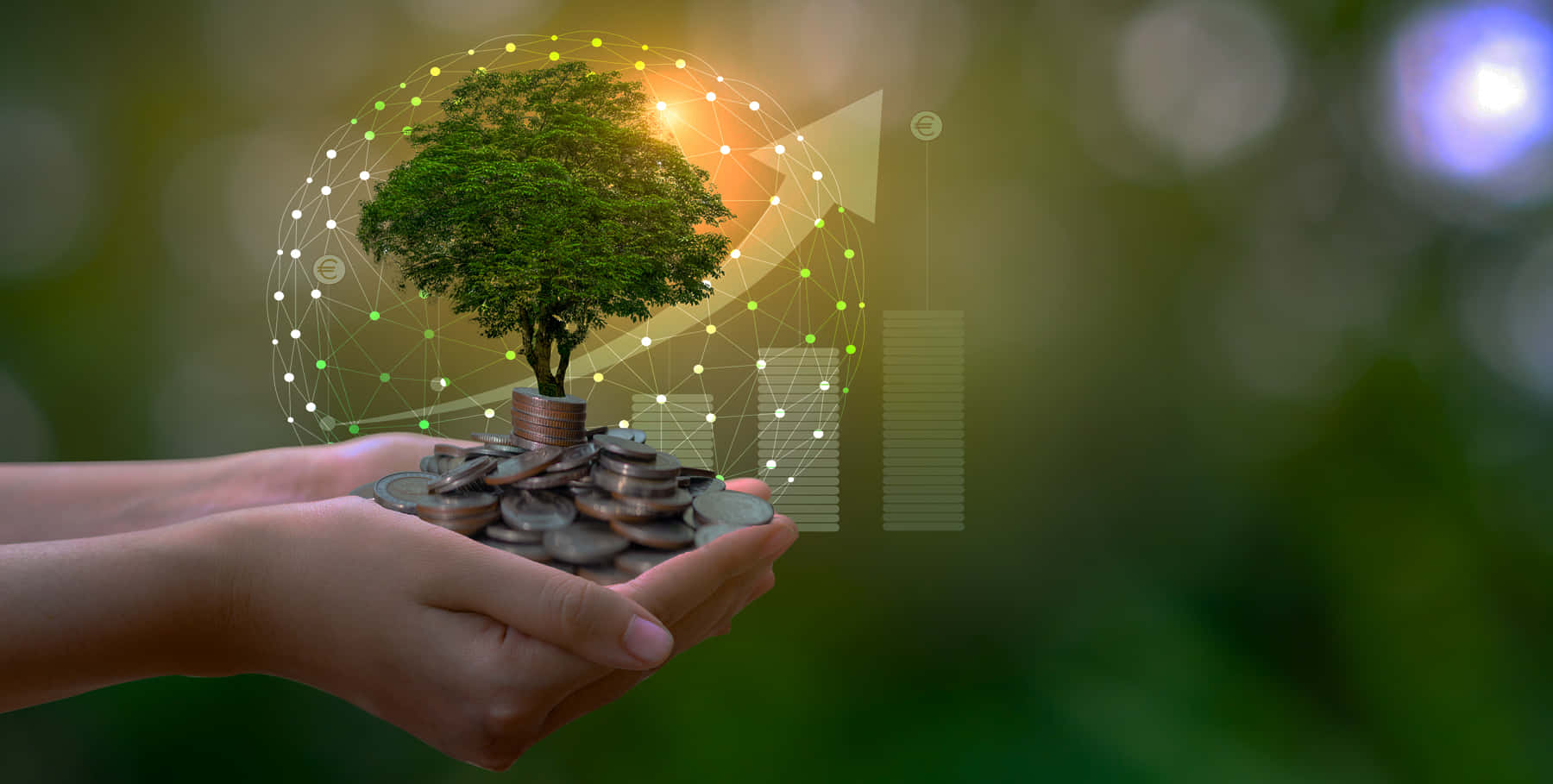 Sustainability Tree In Hand Wallpaper