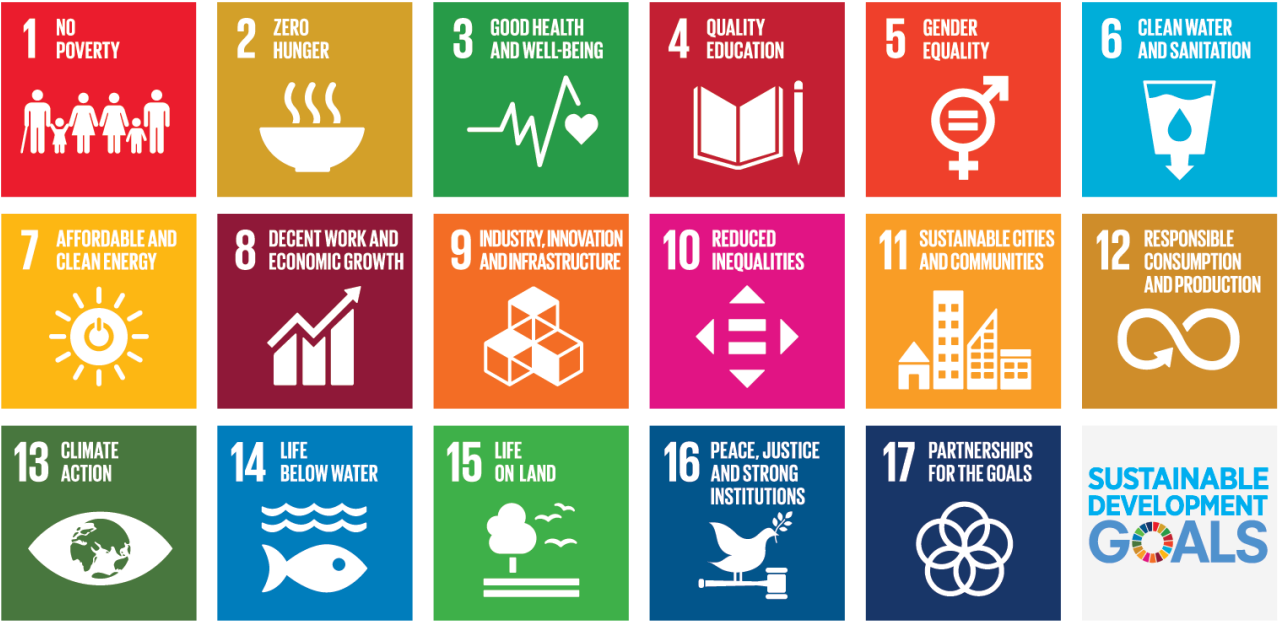 Sustainable Development Goals Icons PNG