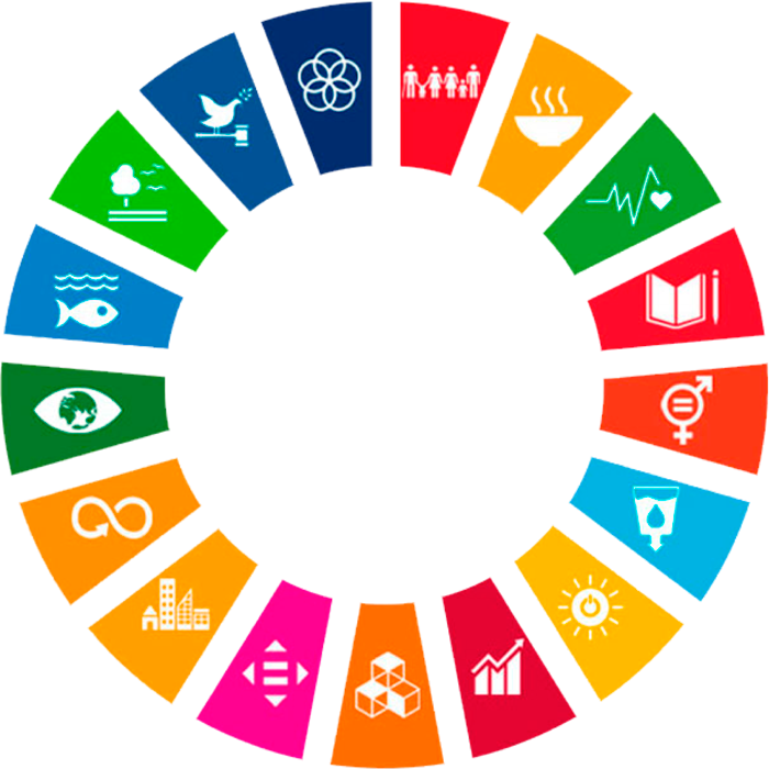 Sustainable Development Goals Icons Circle PNG