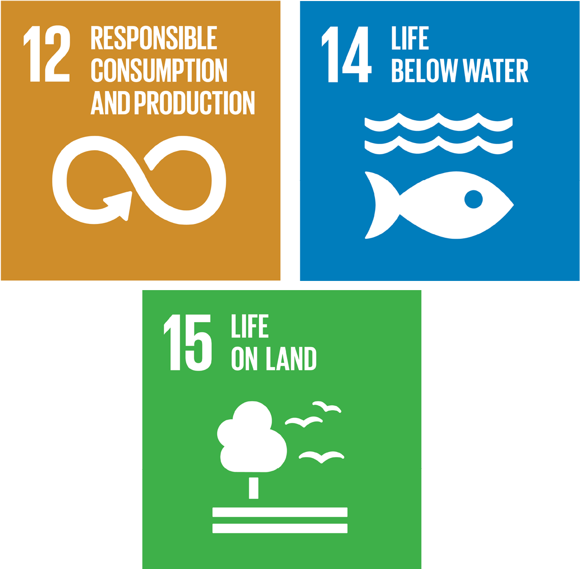 Sustainable Development Goals121415 PNG