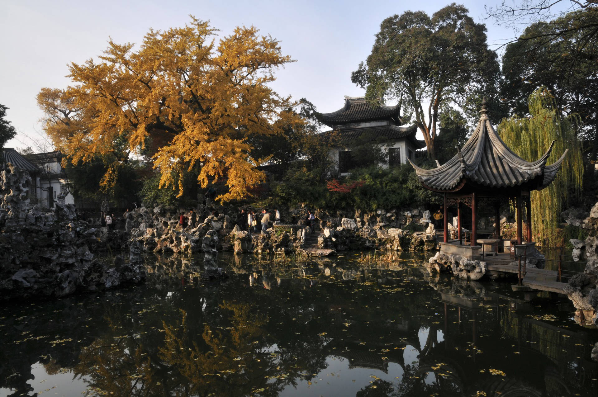 Suzhou Gingko Träd Wallpaper