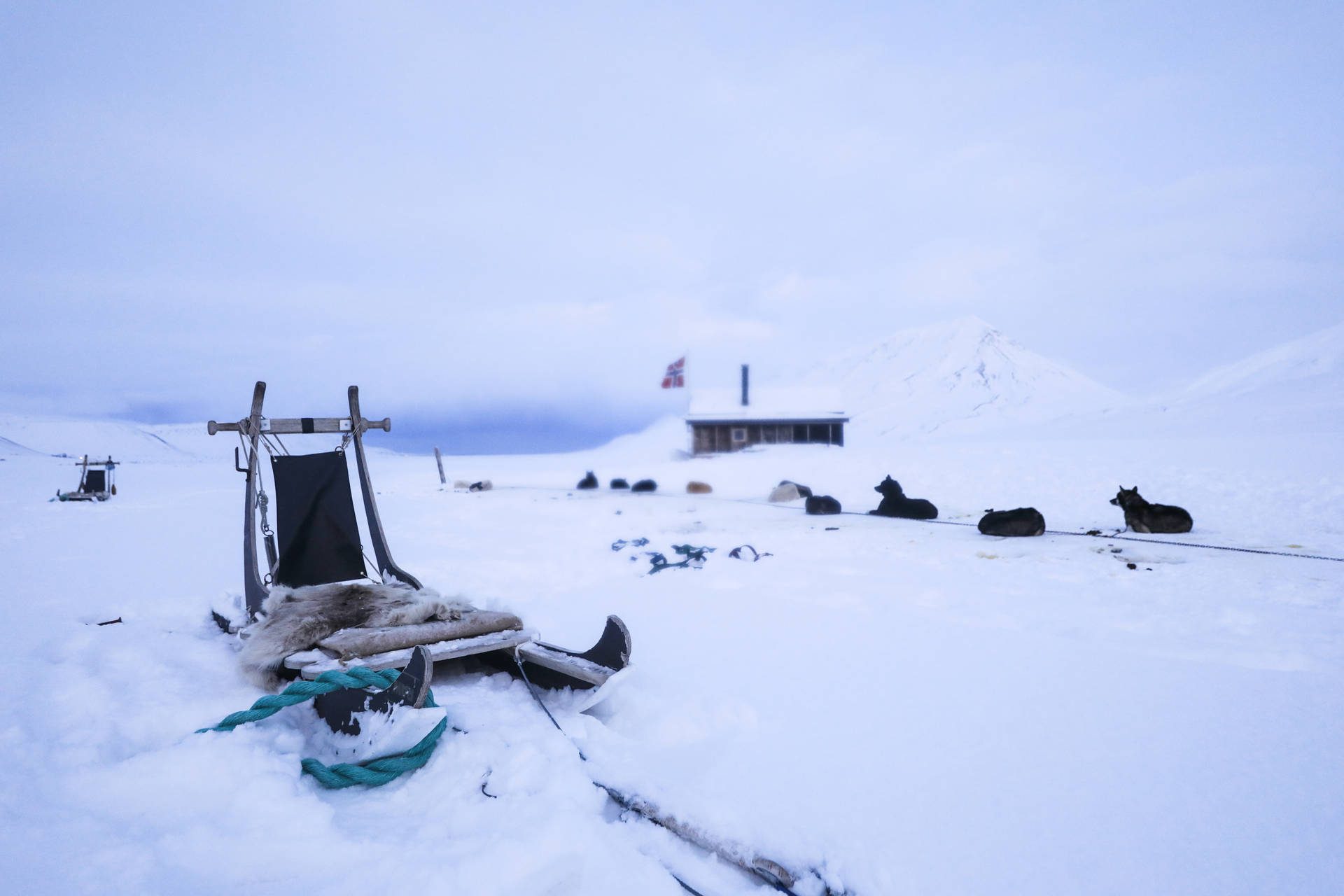 Trineosde Hielo En Svalbard Fondo de pantalla