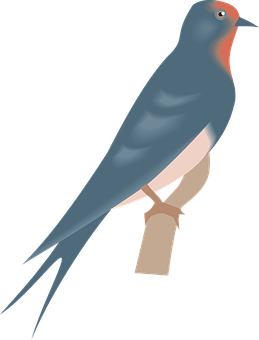 Swallow Illustrationon Black Background PNG