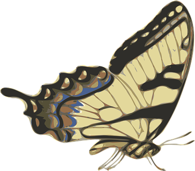 Swallowtail Butterfly Illustration PNG