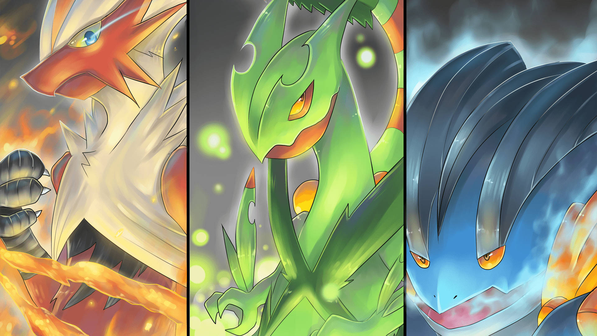 Swampert With Grovyle And Blaziken Wallpaper