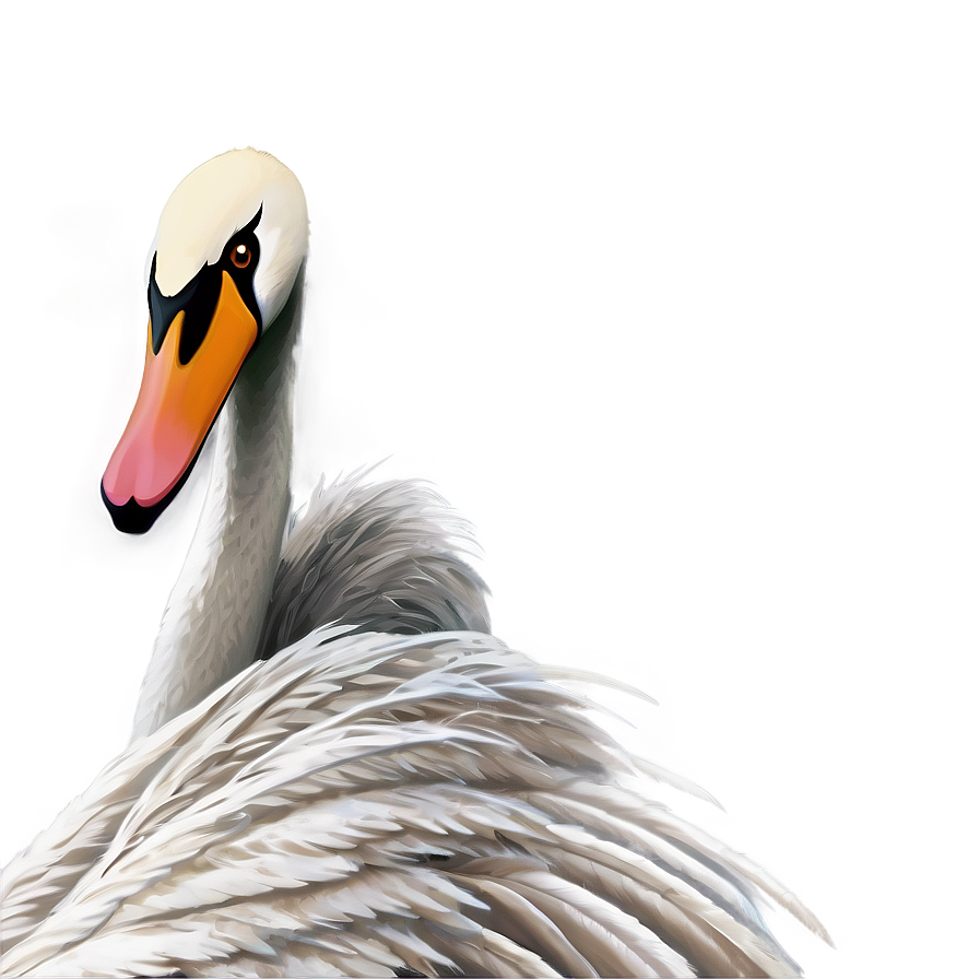 Swan Feather Detail Png 23 PNG