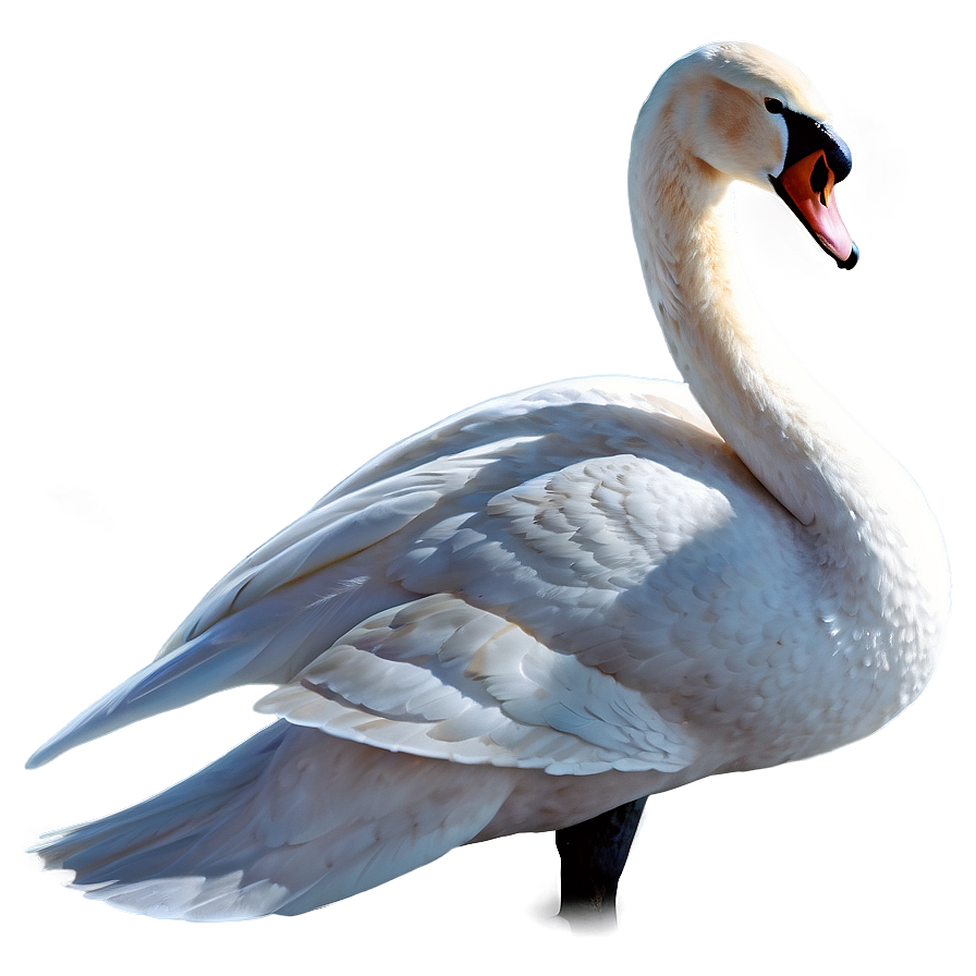 Swan Lake Scene Png 06262024 PNG