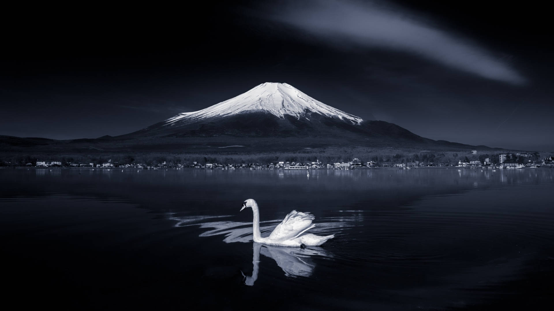 Swan On Lake Japanese Nature Wallpaper