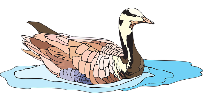 Swan On Water Illustration PNG