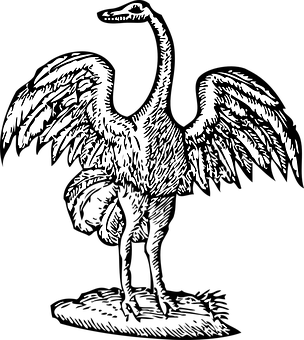 Swan Silhouette Spread Wings PNG