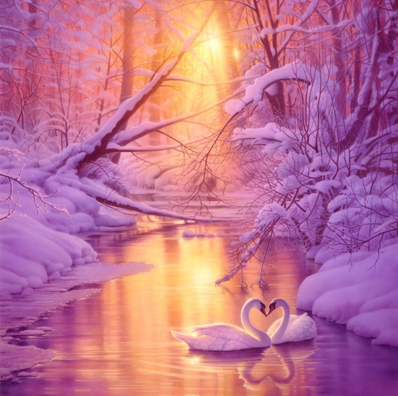 Swans In Snow Love Nature Wallpaper