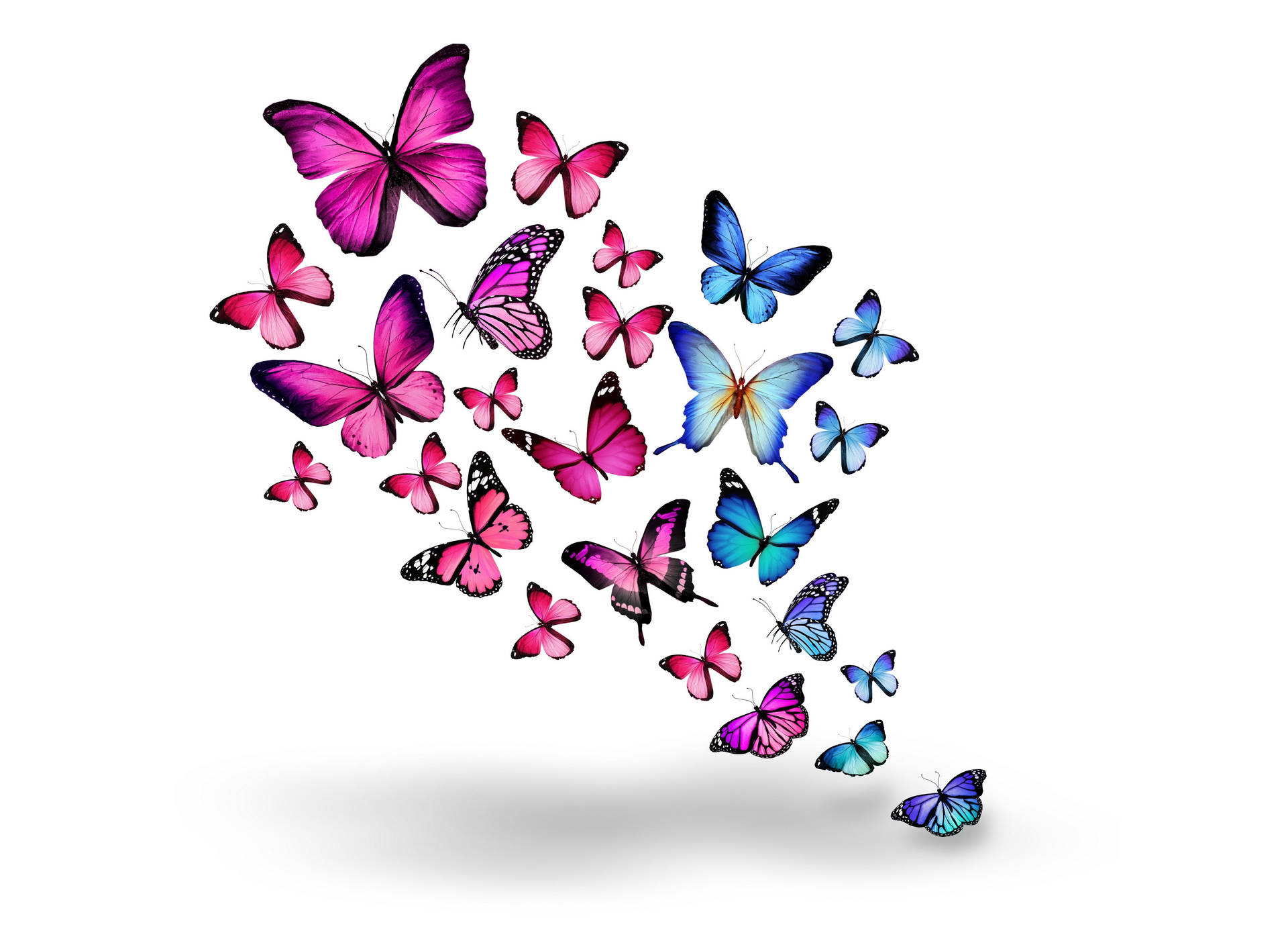 Swarm Of Pink And Blue Butterflies Wallpaper