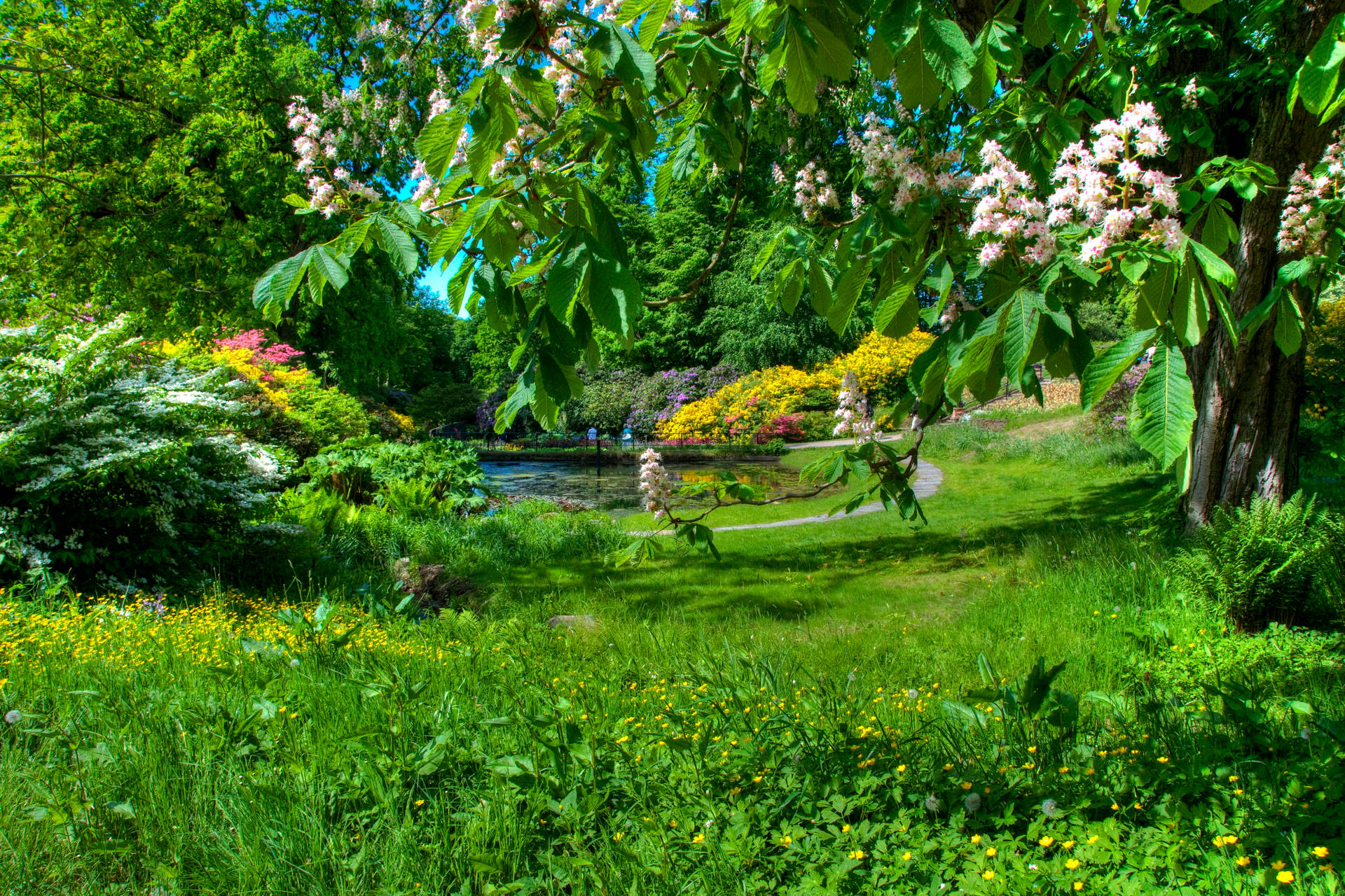 Sweden Garden Landscape Wallpaper