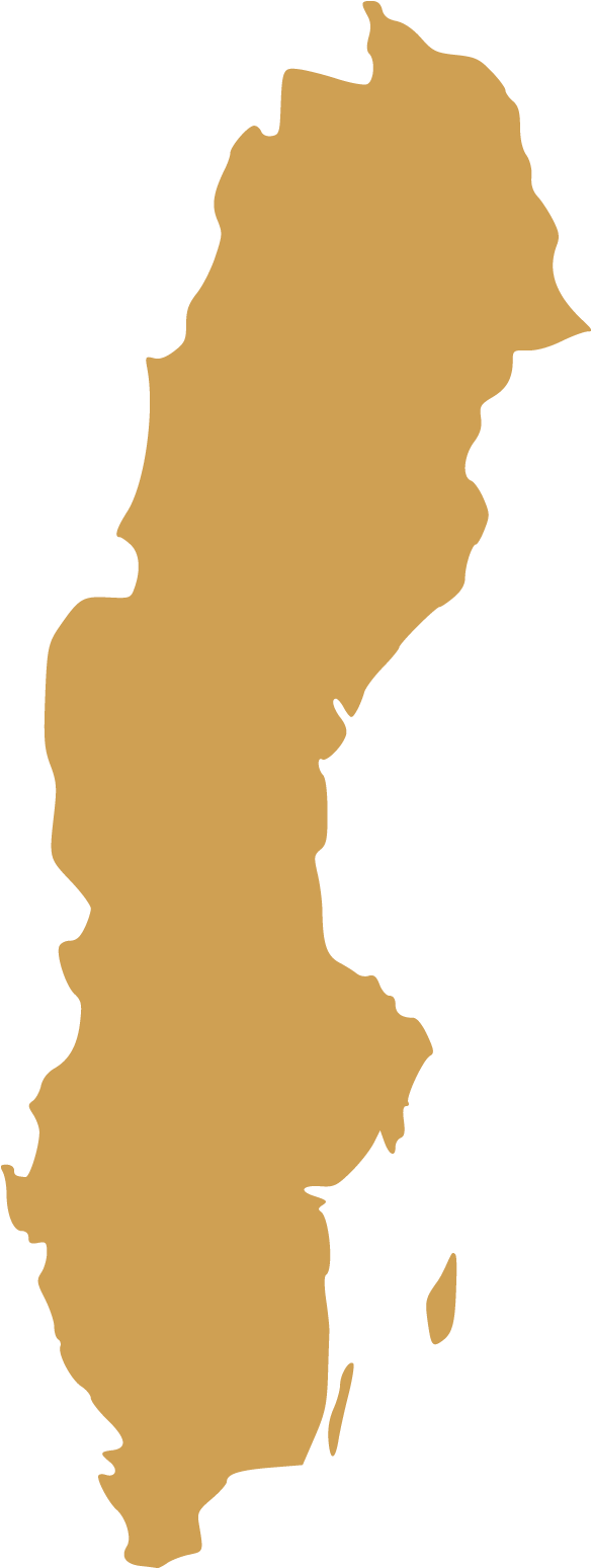 Sweden Map Silhouette PNG