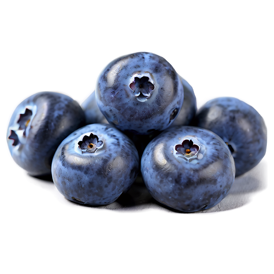 Sweet Blueberry Treat Png 05212024 PNG