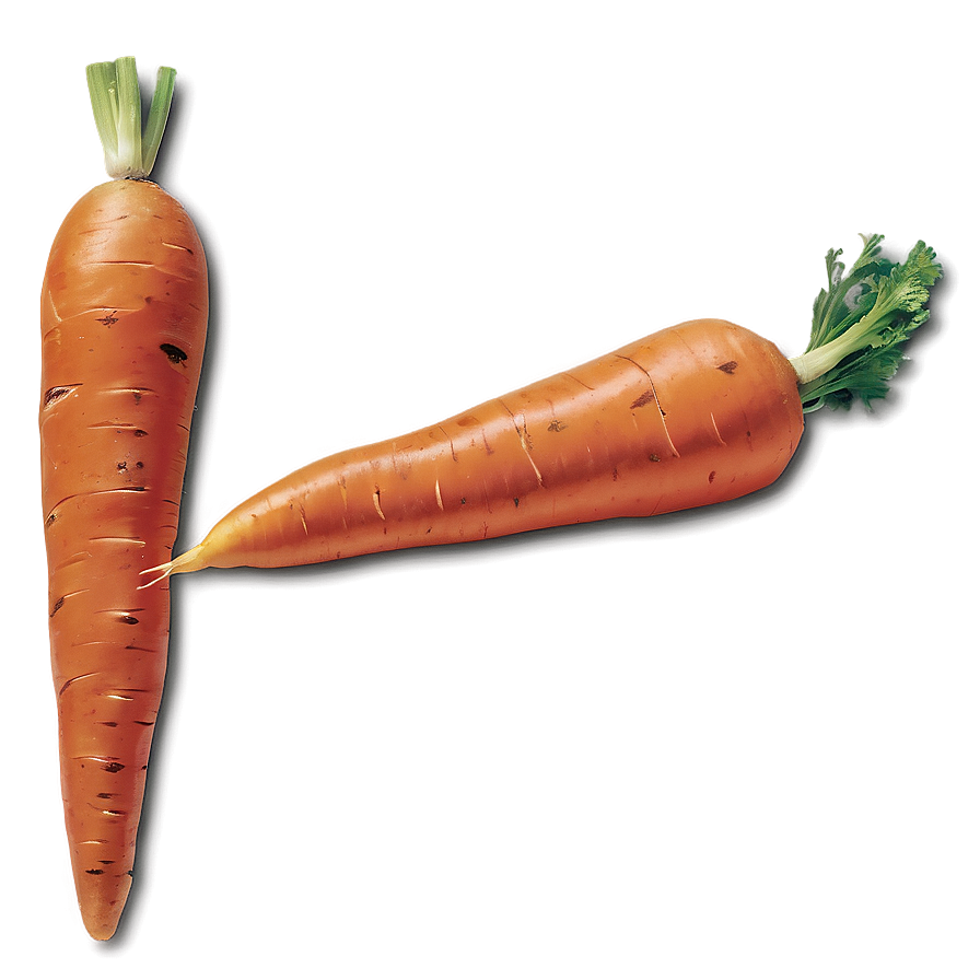 Sweet Carrot Png Xem93 PNG