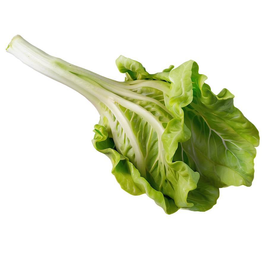 Download Sweet Lettuce Png Ltw | Wallpapers.com