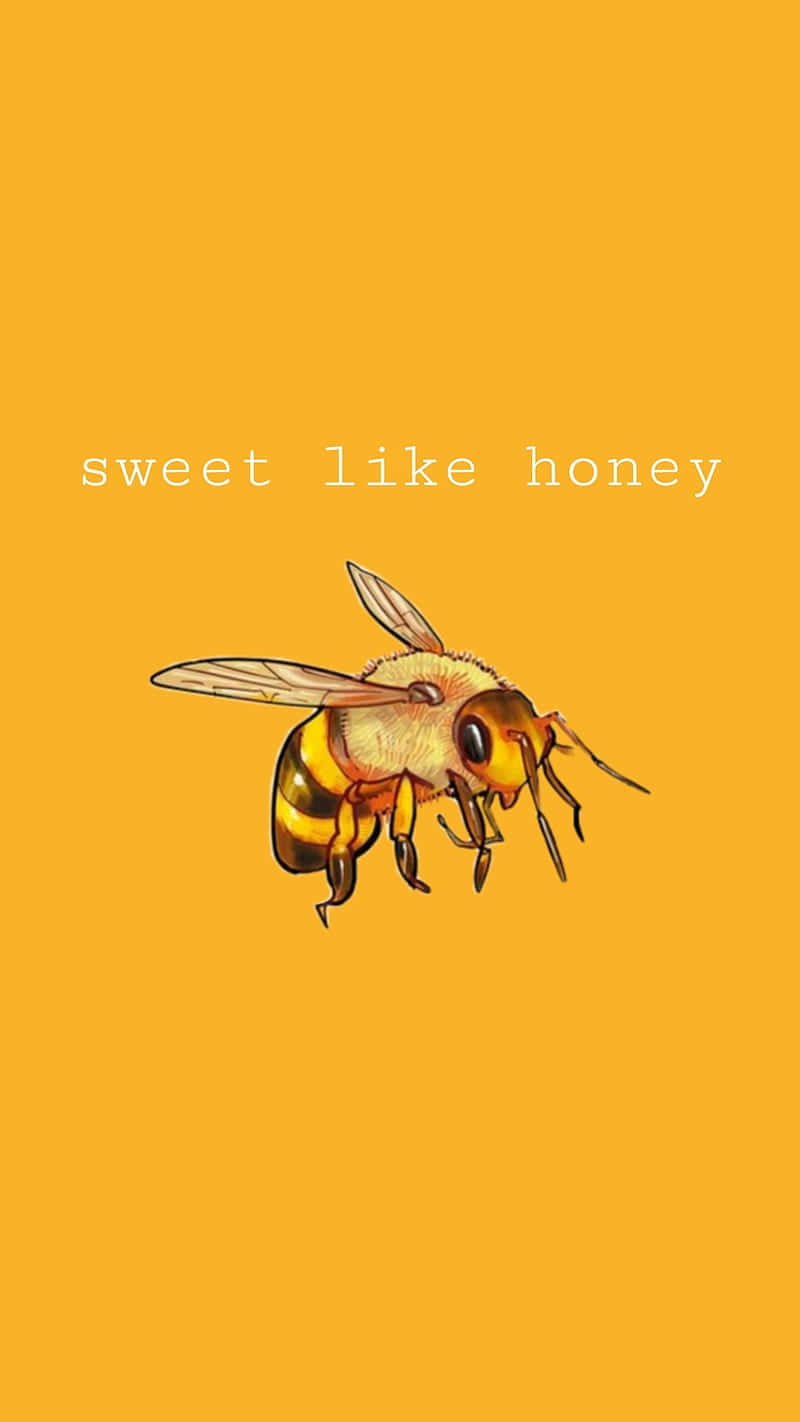 Sweet Like Honey Vintage Bee Aesthetic Wallpaper