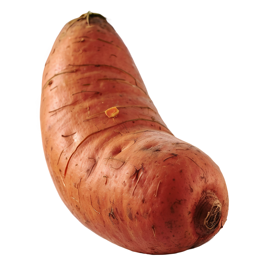 Sweet Potato D PNG