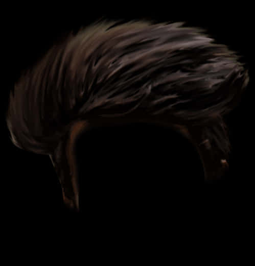 Swept Back Dark Hairstyle PNG